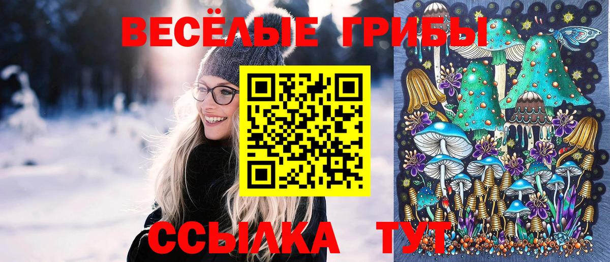 Евпатория  продажа наркотиков  Вход с VPN  Псилоцибиновые грибы мицелий 